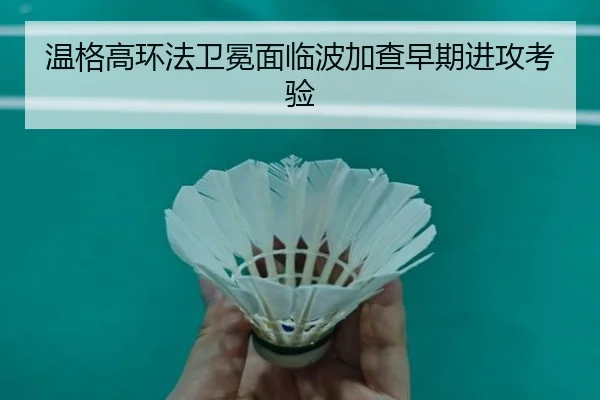 wen-ge-gao-huan-fa-wei-mian-mian-lin-bo-jia-cha-zao-qi-jin-gong-kao-yan-2-601.jpg