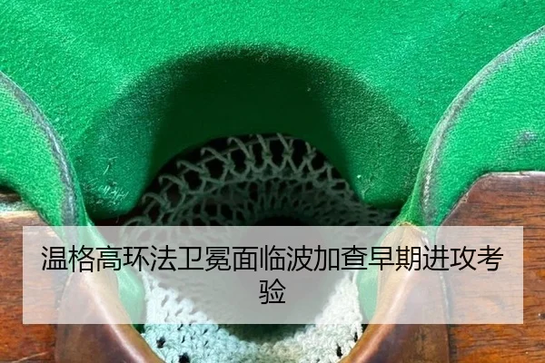 温格高环法卫冕面临波加查早期进攻考验