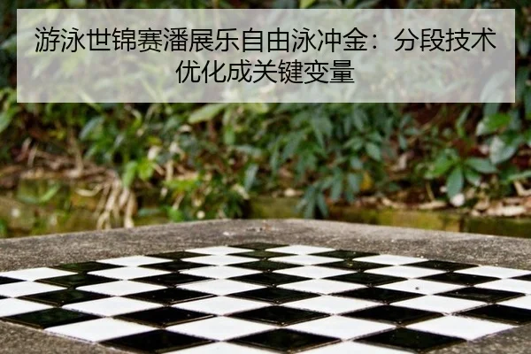 游泳世锦赛潘展乐自由泳冲金：分段技术优化成关键变量